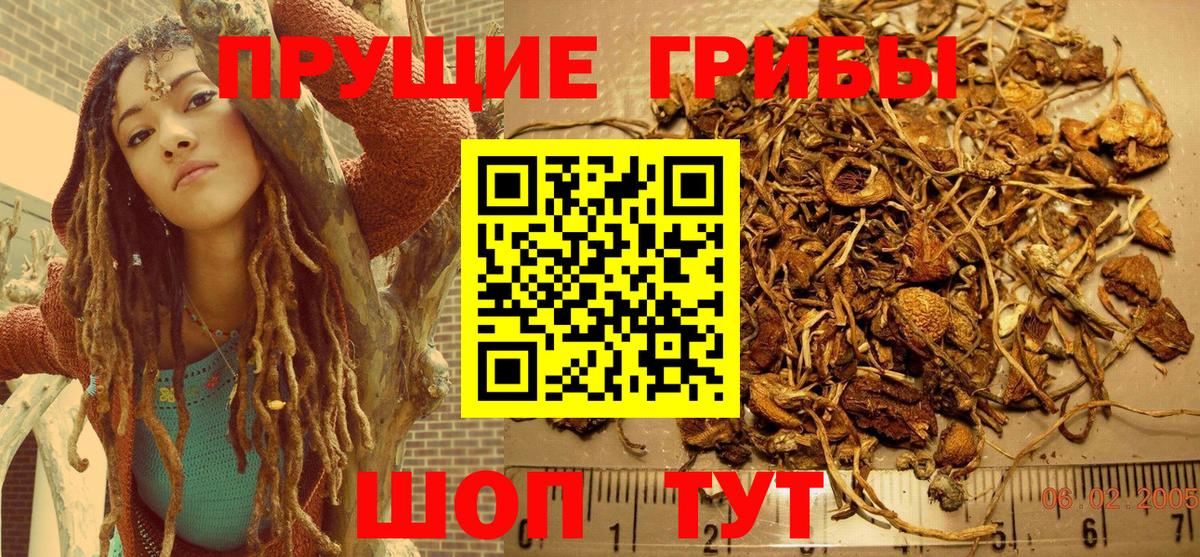 Псилоцибиновые грибы мицелий  как найти   Бутурлиновка  Вход с VPN 