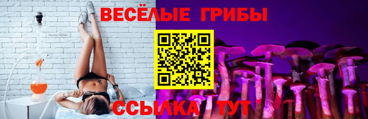 Галлюциногенные грибы GOLDEN TEACHER Бутурлиновка